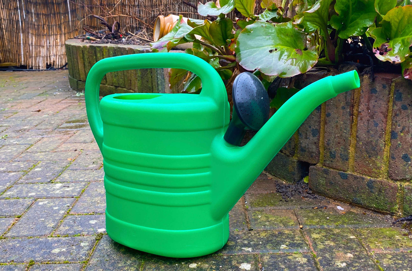 10 Litres Capacity Garden Watering Can