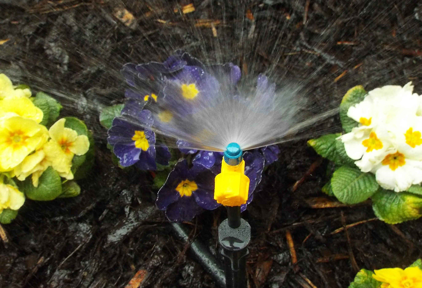 Antelco Vari-Jet™ 180° Adjustable Irrigation Nozzle – Blue Cap, Yellow Base