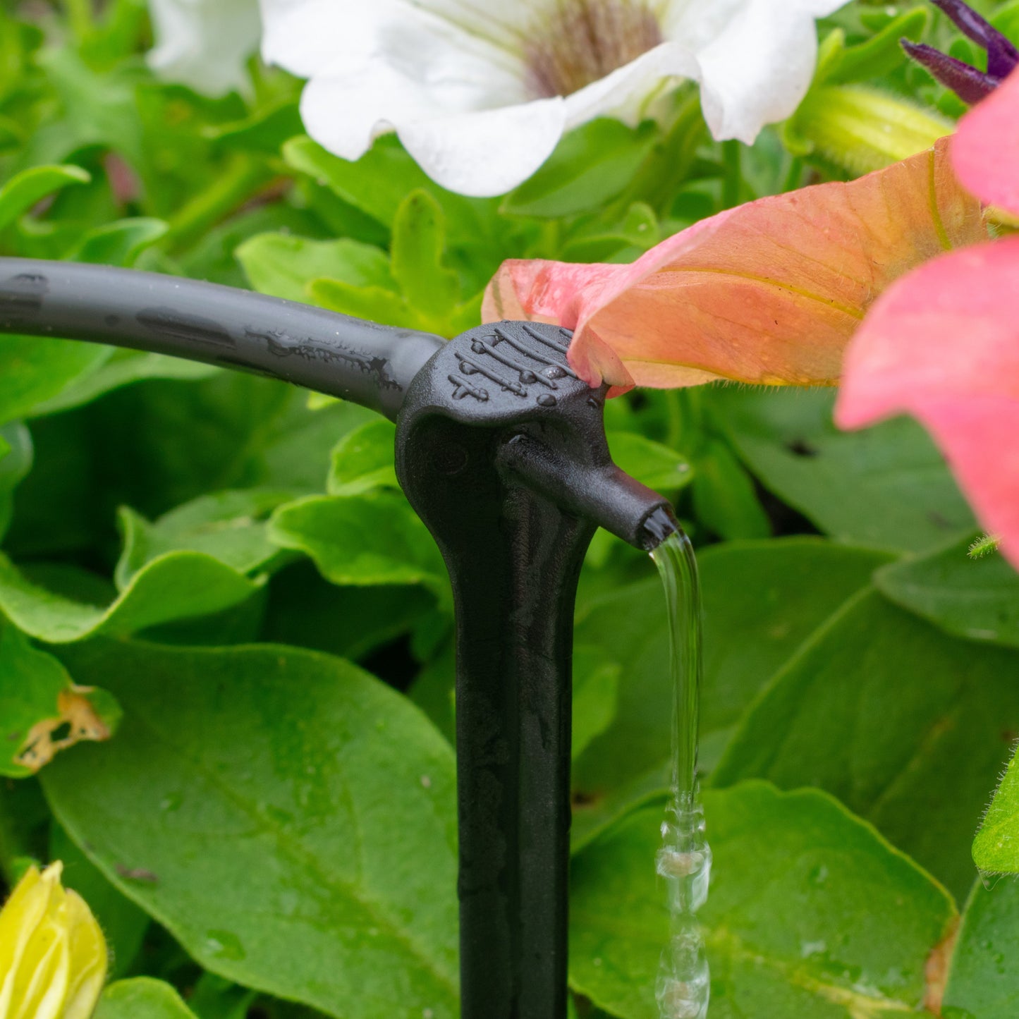 Antelco Asta® Drippers with Spike – 4L/H Pressure‑Compensating
