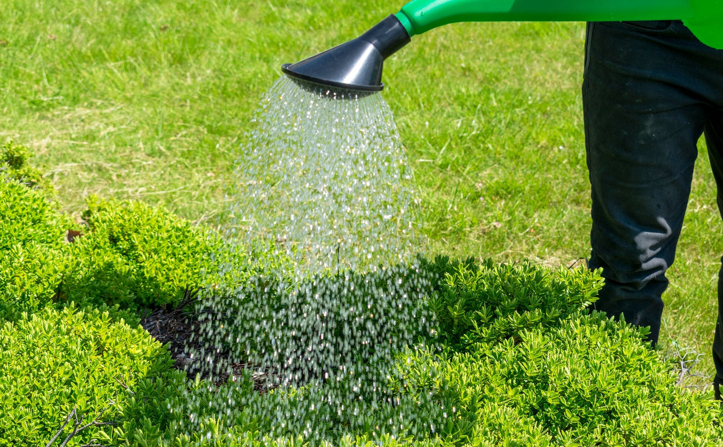 10 Litres Capacity Garden Watering Can