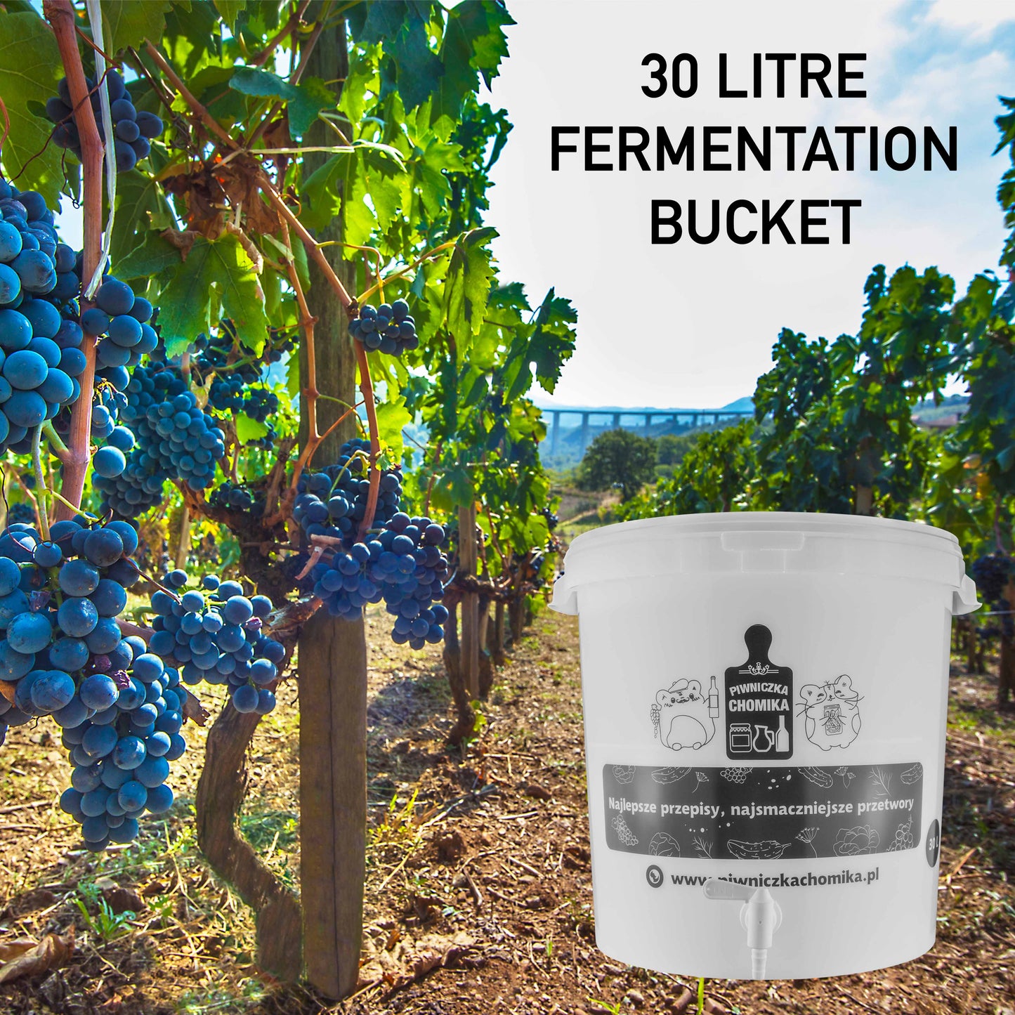 30L Homebrew Fermentation Bucket with Tap