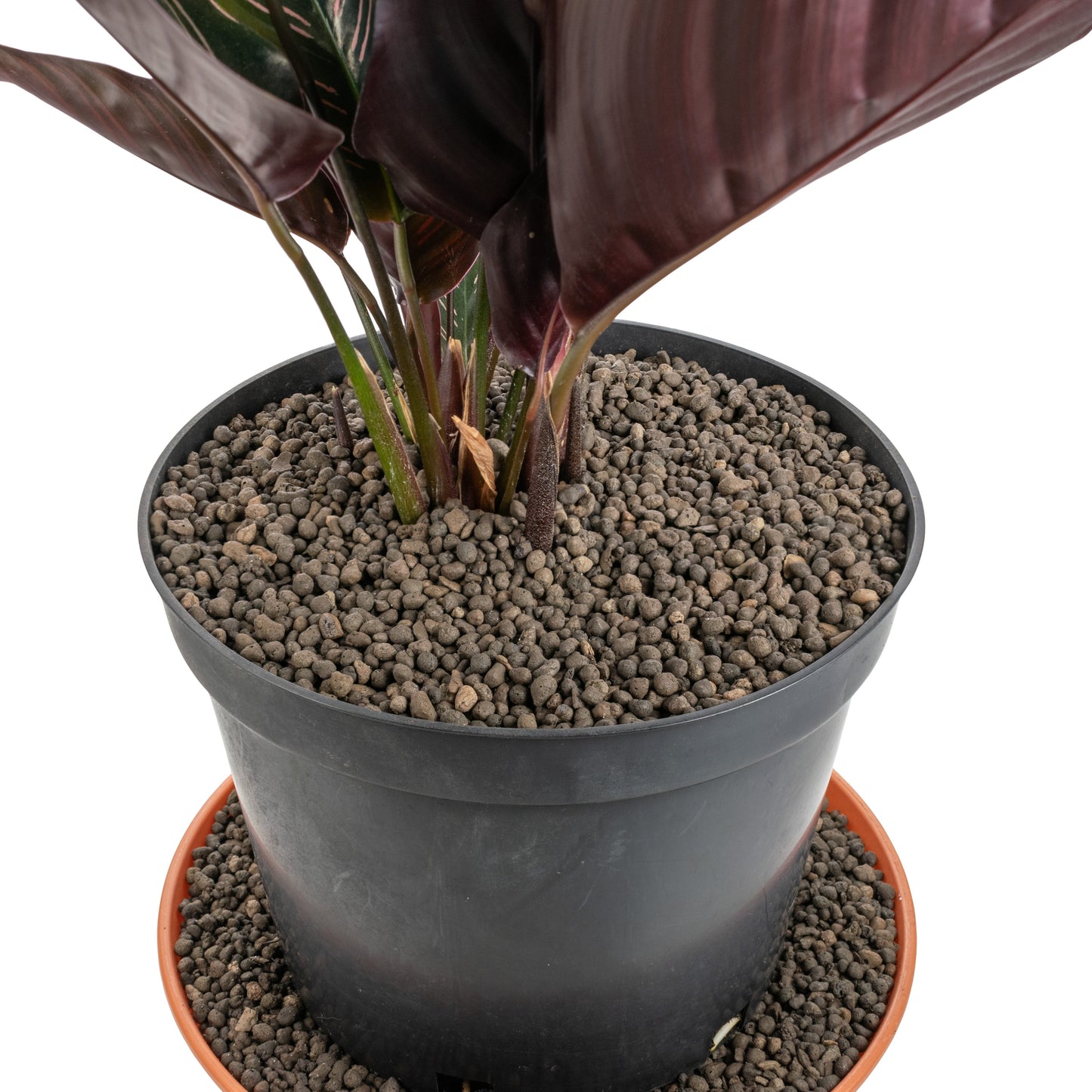 KERAMZYT Fine Expanded Clay Aggregate 1-4mm Grade