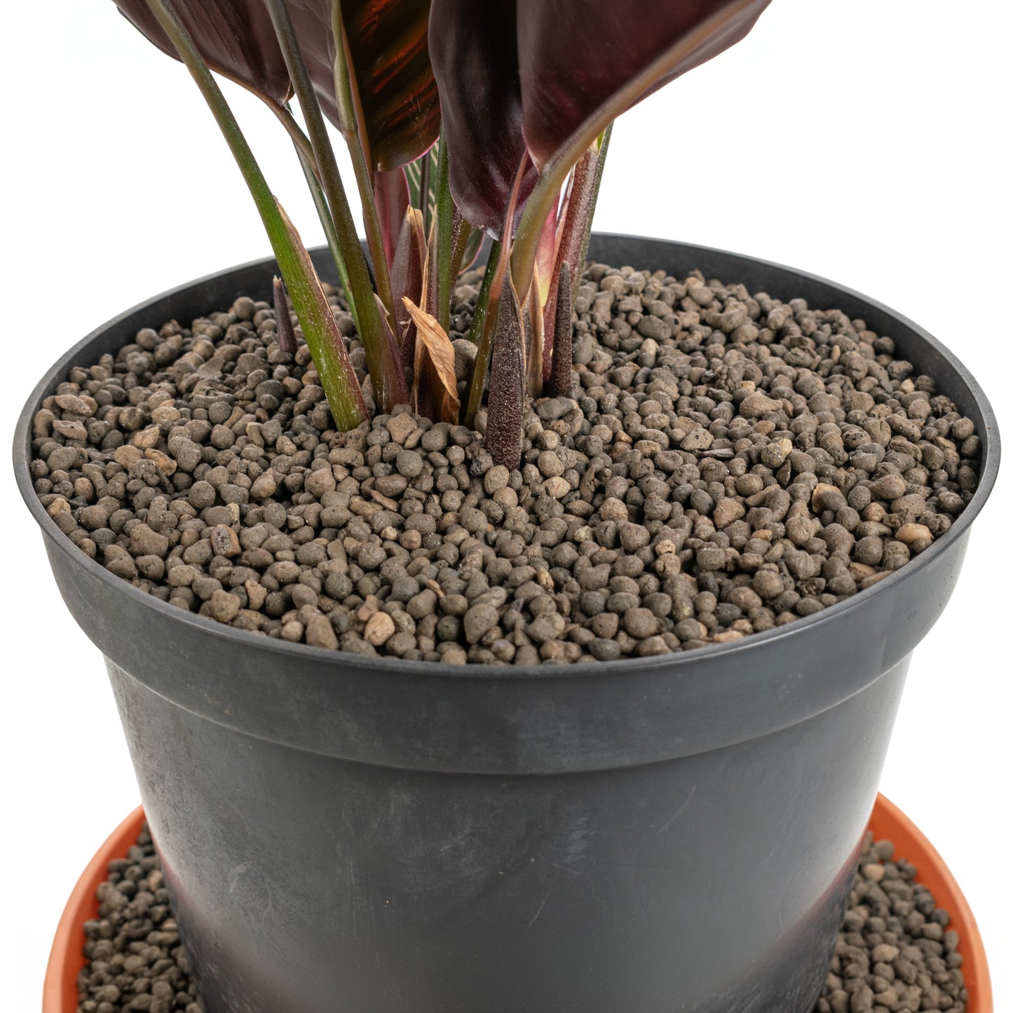 KERAMZYT Fine Expanded Clay Aggregate 1-4mm Grade