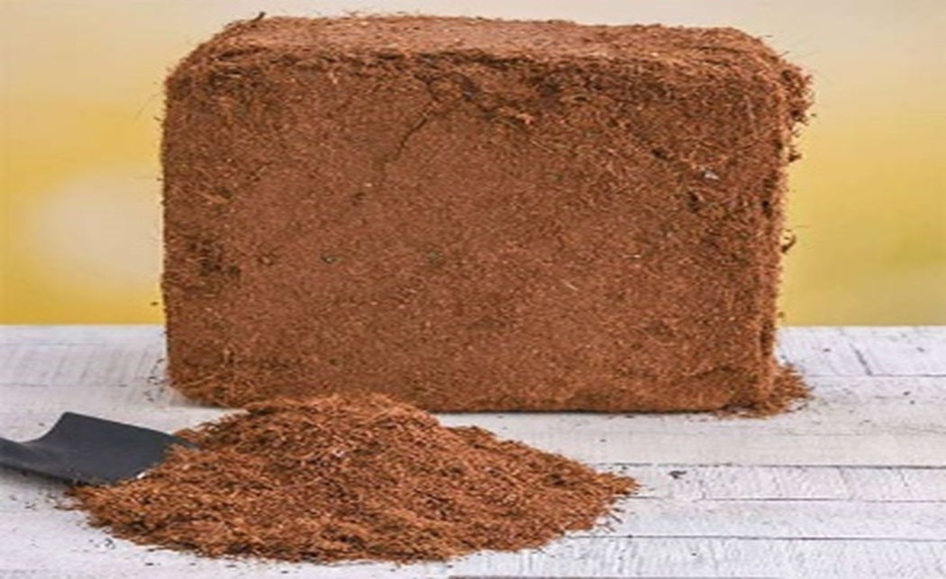 Organic Coconut Coir – Natural Fibre Compost