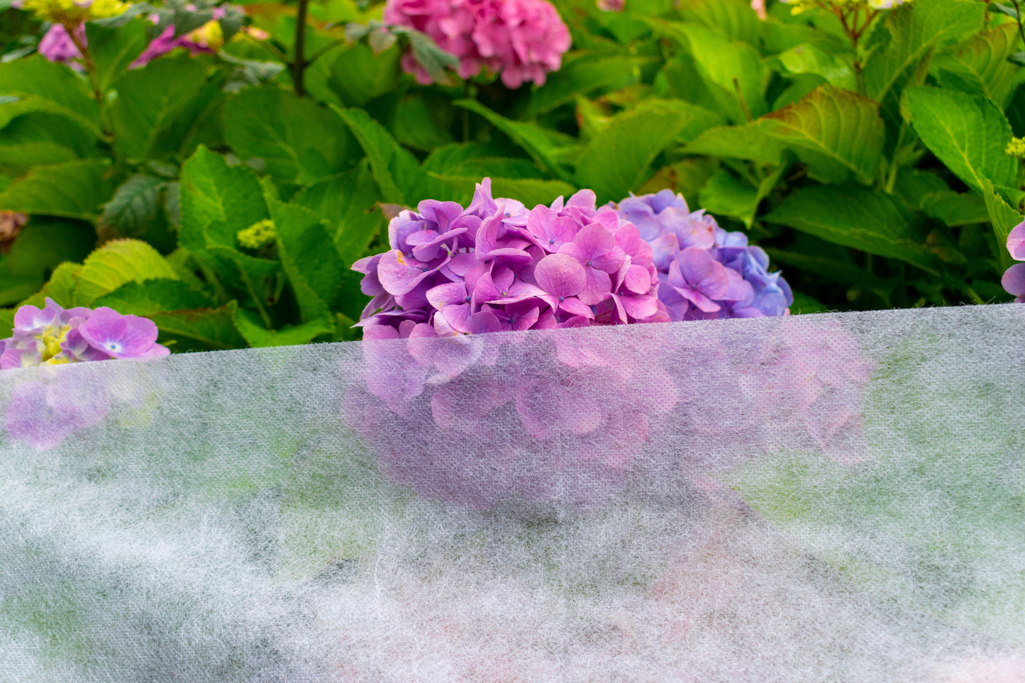 30gsm Garden Frost Protection Fleece – 3.2m x 5m Roll