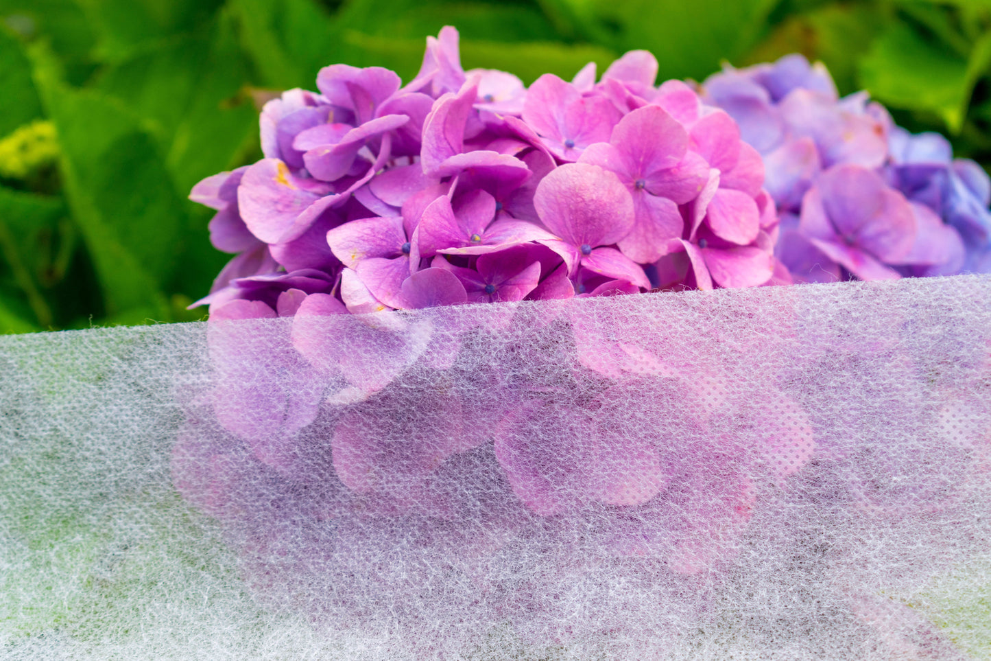 30gsm Garden Frost Protection Fleece – 3.2m x 5m Roll