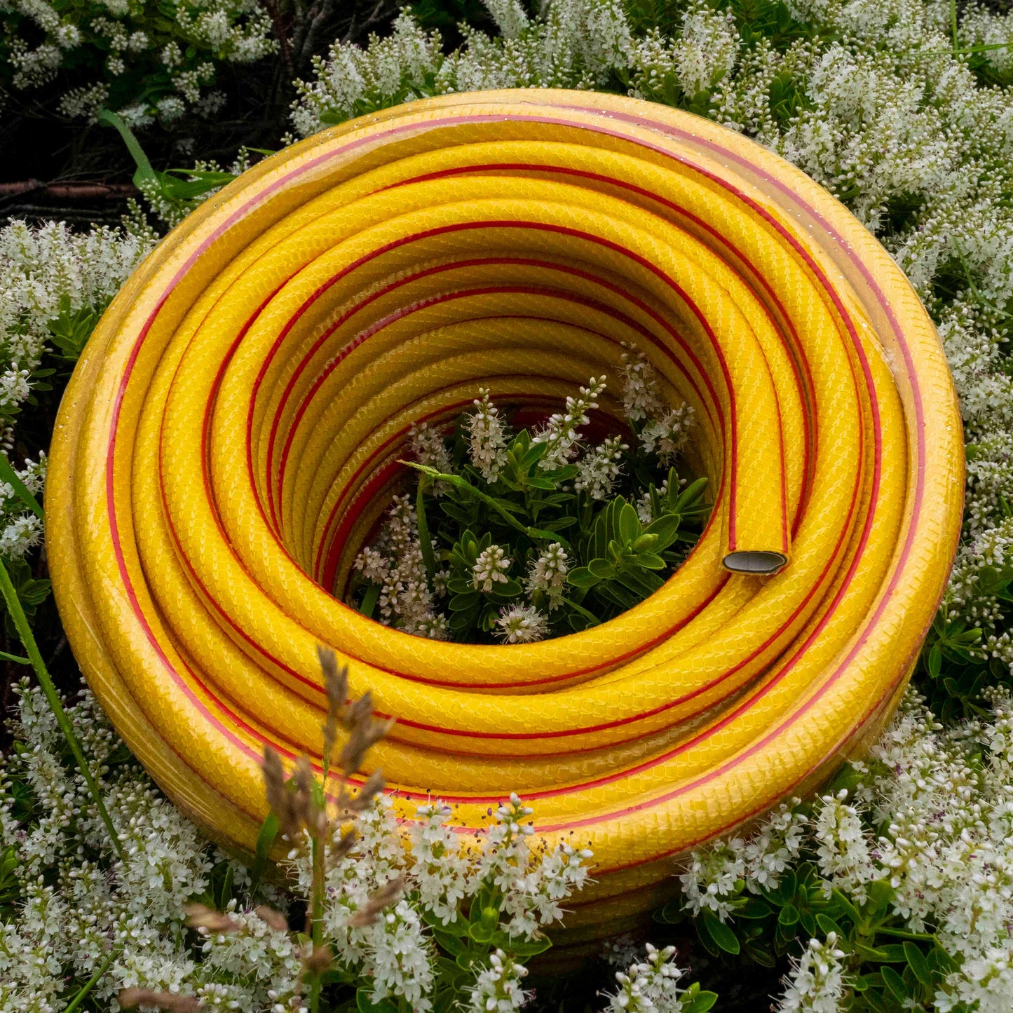 6 Layer Garden Hose Pipe 1/2" Yellow Anti Kink UV Resistant Water Hose