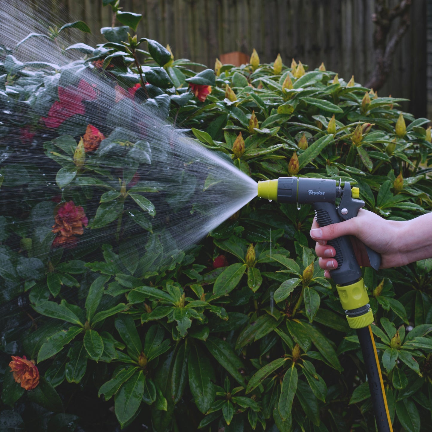 Lime Adjustable Spray Pattern Garden Hose Gun