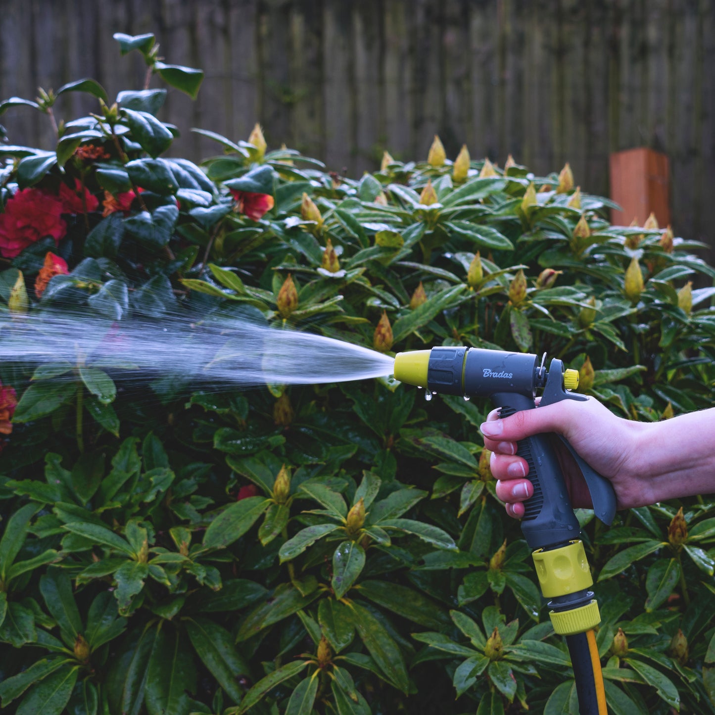 Lime Adjustable Spray Pattern Garden Hose Gun