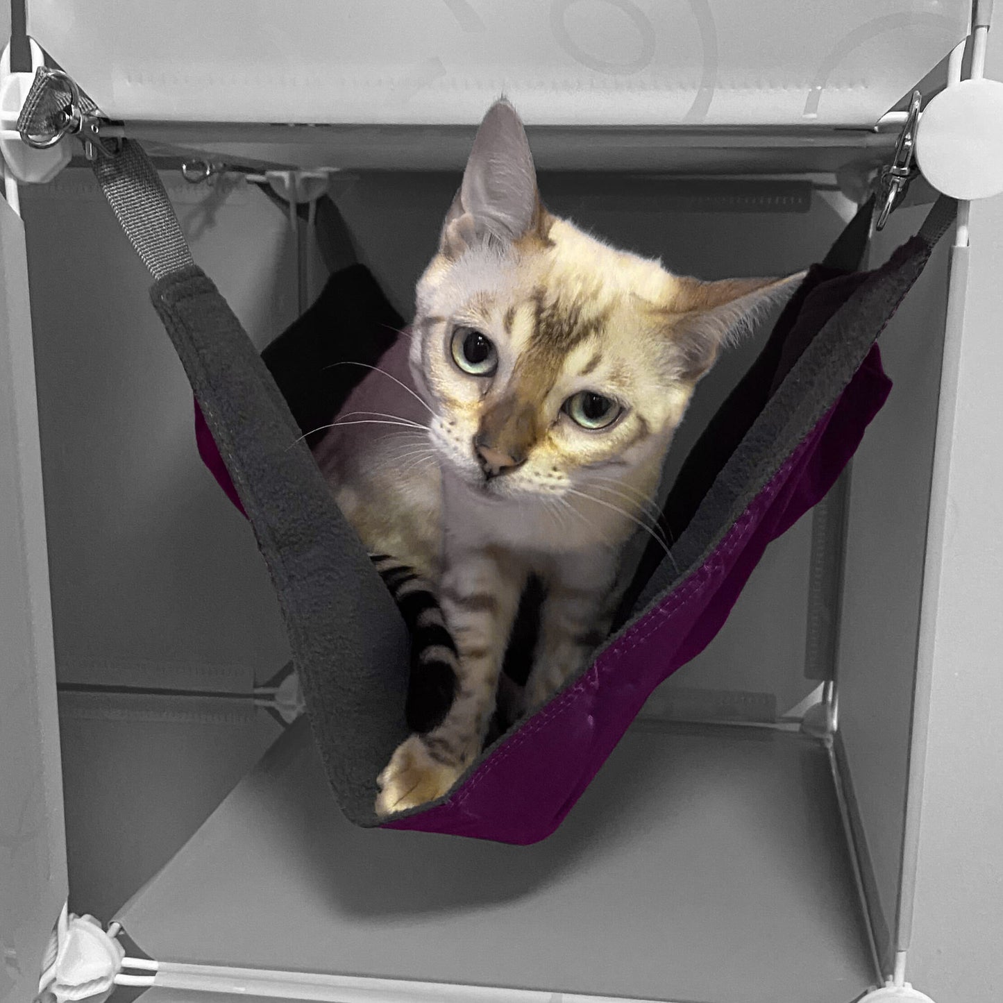 Maxi-Sized Kitty Cubby Play Tower