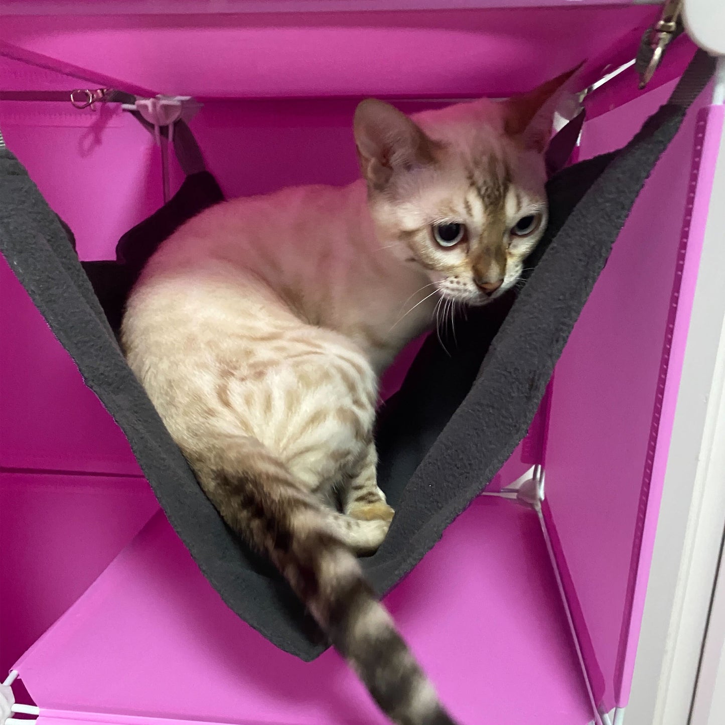 Maxi-Sized Kitty Cubby Play Tower