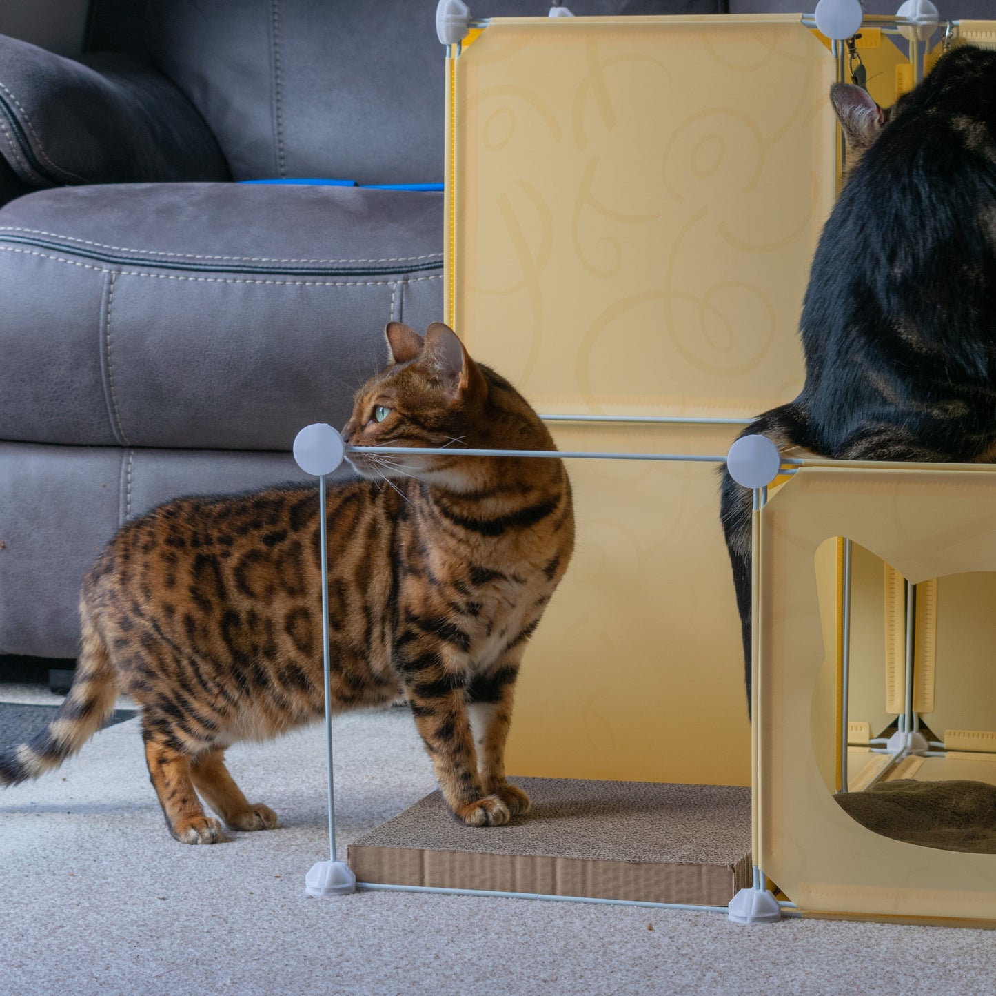 Medium-Sized Kitty Cubby Play Tower