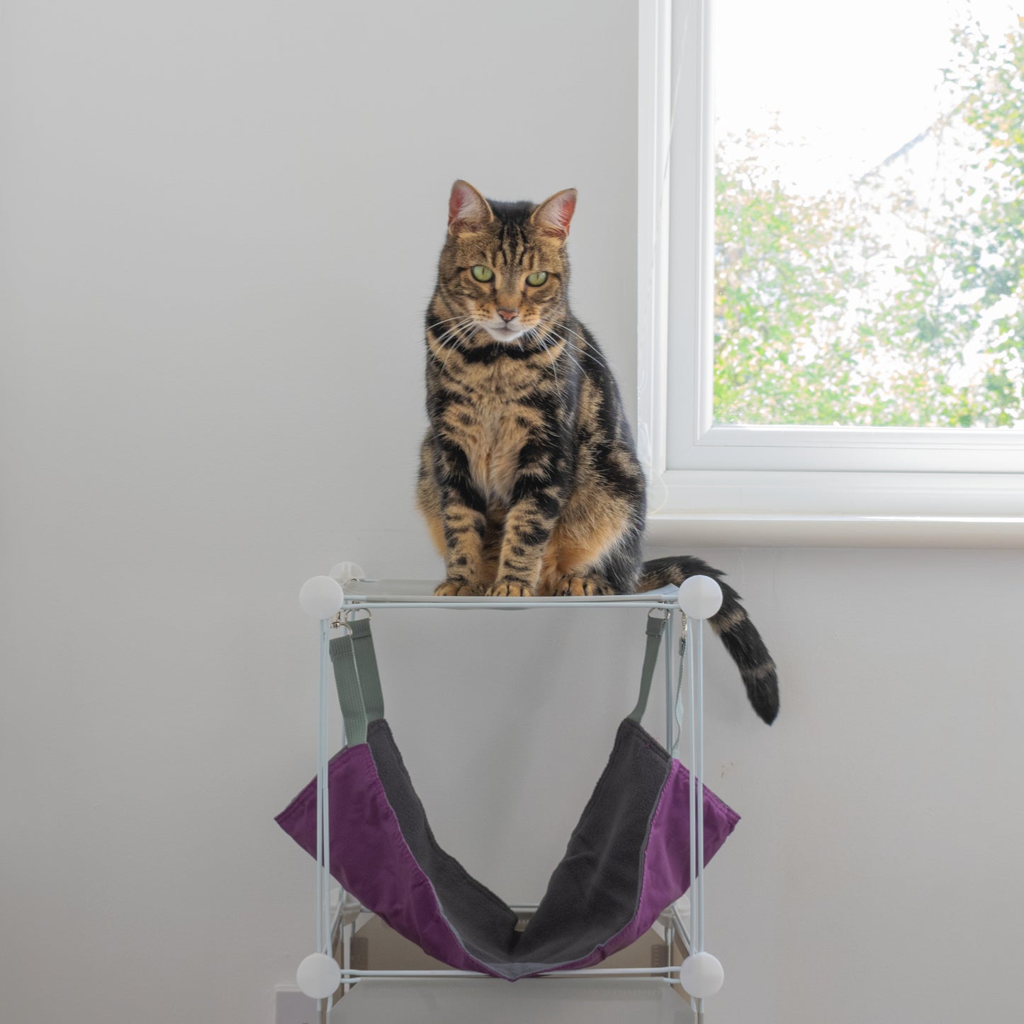 Medium-Sized Kitty Cubby Play Tower