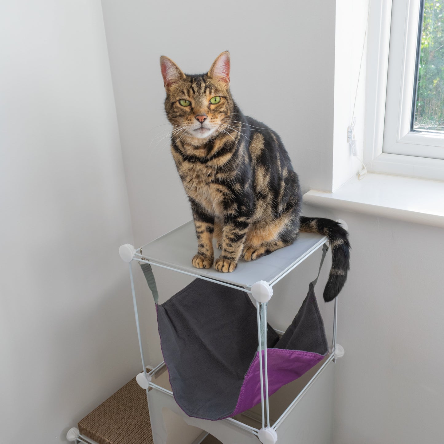 Medium-Sized Kitty Cubby Play Tower