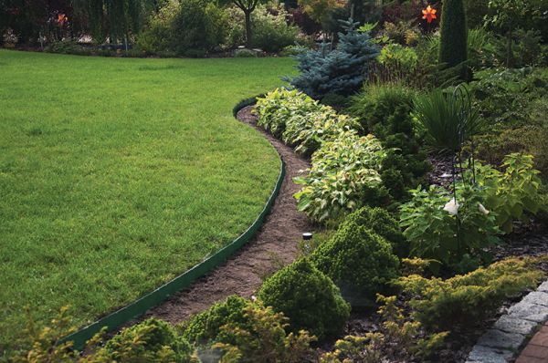 50mm Green Easy Lawn Edging, 10 metres, Including Pegs