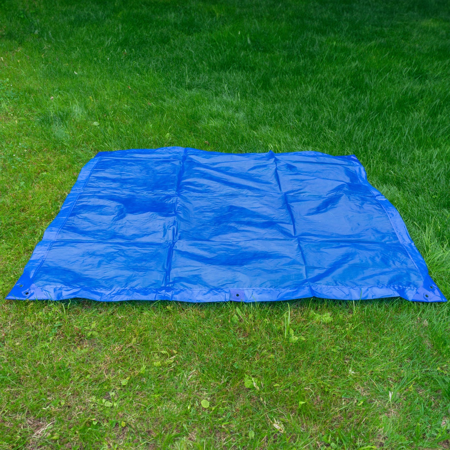Blue M-Grade LLDPE Tarp 2m x 3m