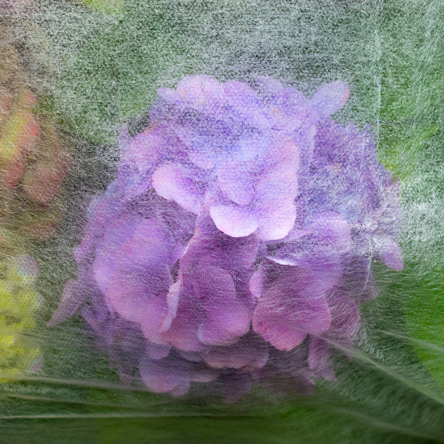17g Garden Frost Protection Cover – Non-Woven Fleece, 3.2m × 10m