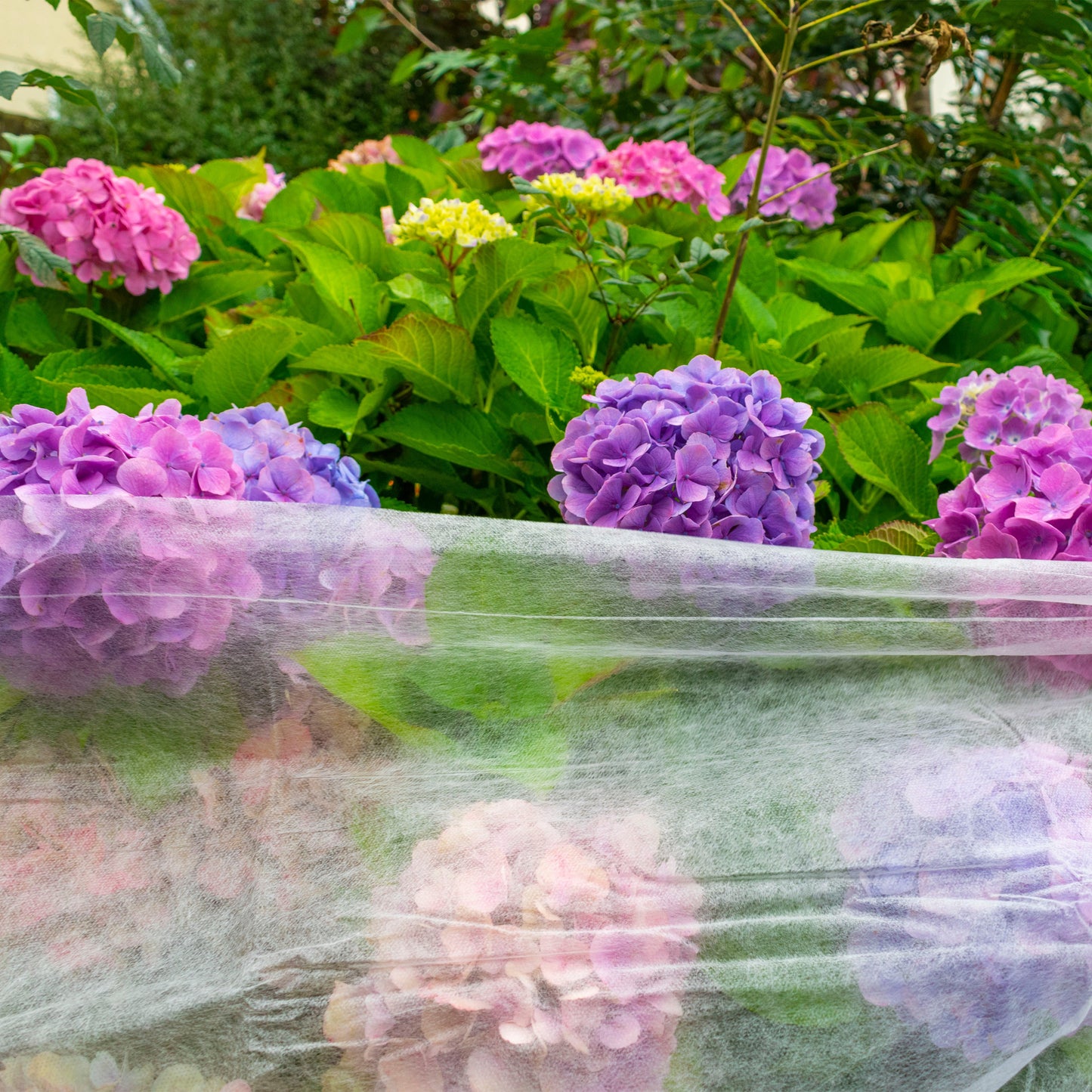 17g Garden Frost Protection Cover – Non-Woven Fleece, 3.2m × 10m
