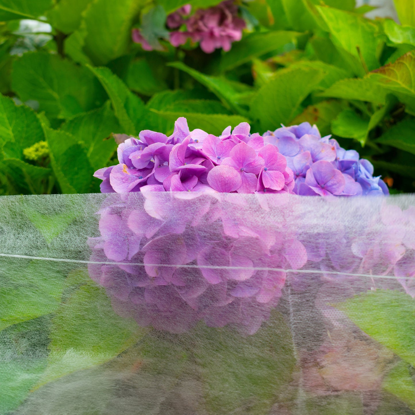 17g Garden Frost Protection Cover – Non-Woven Fleece, 1.1m × 10m