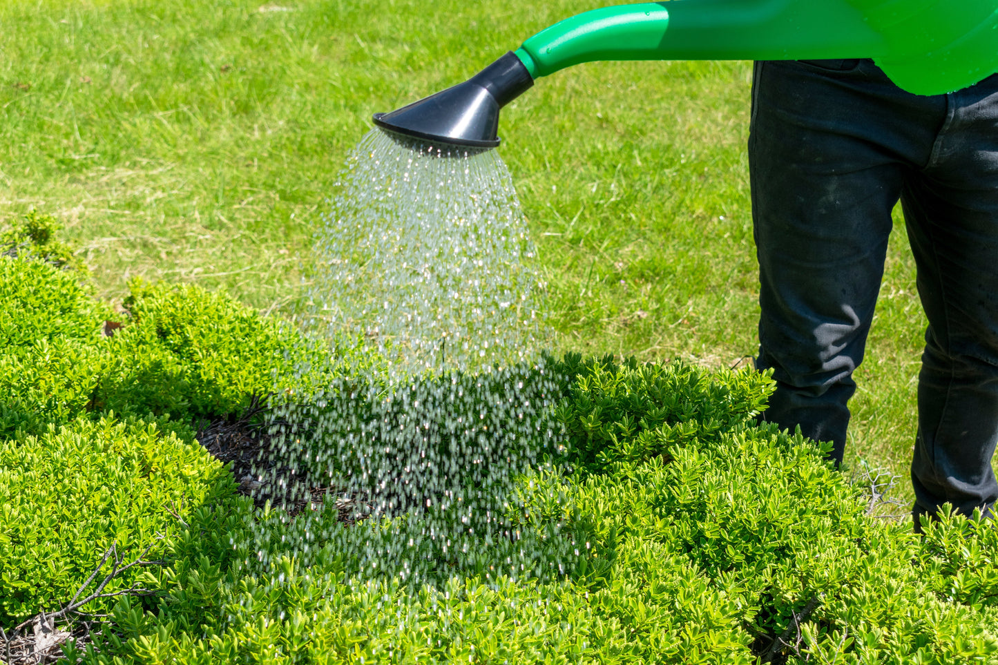 10 Litres Capacity Garden Watering Can