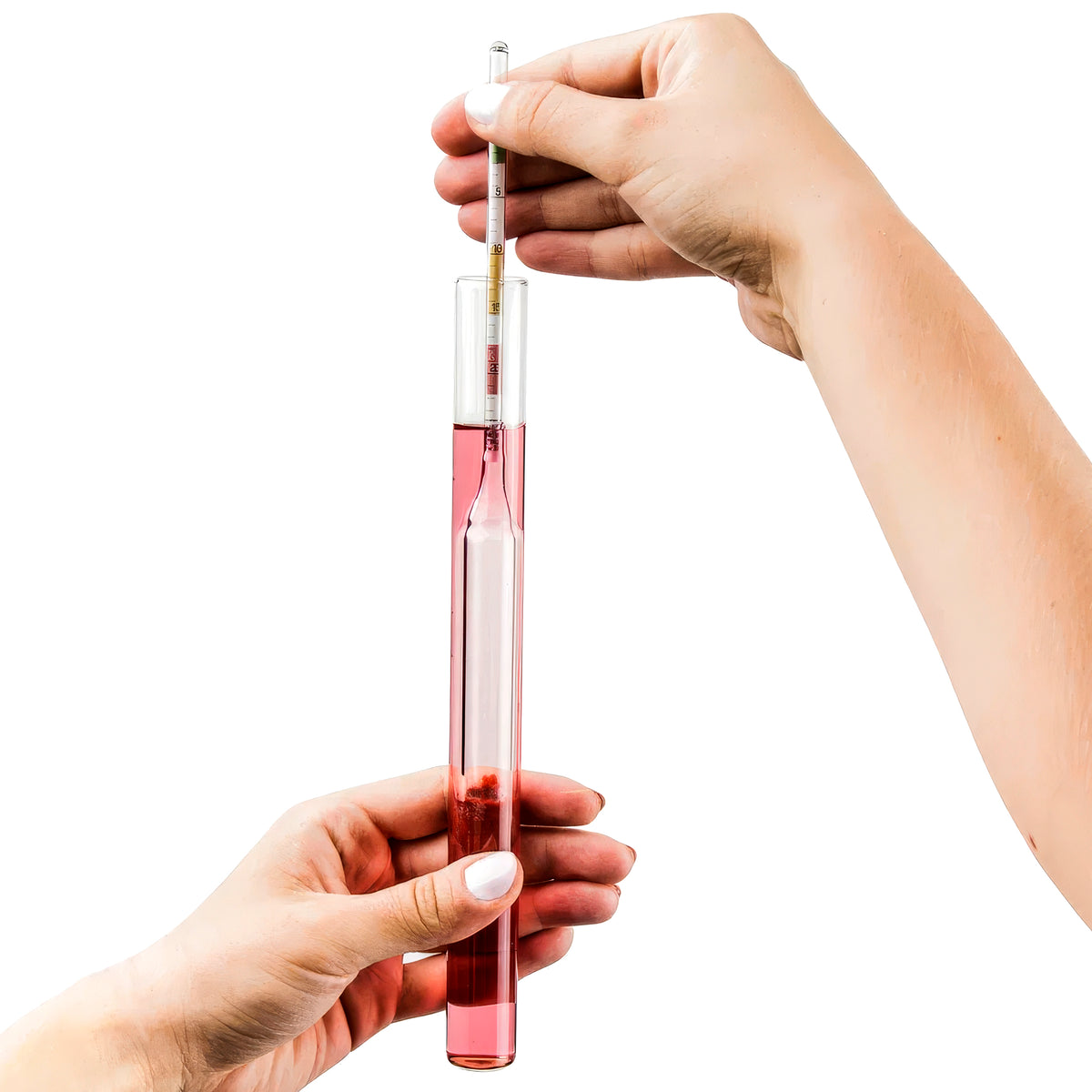 Wine Beer Hydrometer Sugar Meter Potential Alcohol Tester Home Brewing Kit