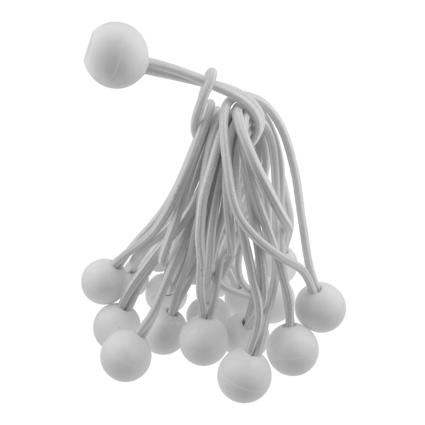 White 6’’ Bungee Ball