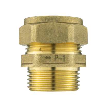 IBC 2” S60X6 Lid with ¾” BSP Female Lever Tap and 22mm Brass Straight Compression Fitting