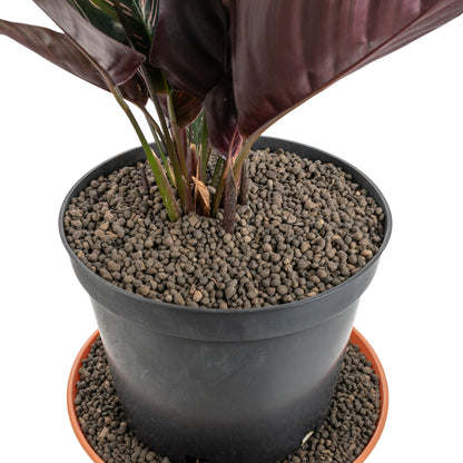 KERAMZYT Fine Expanded Clay Aggregate 1-4mm Grade