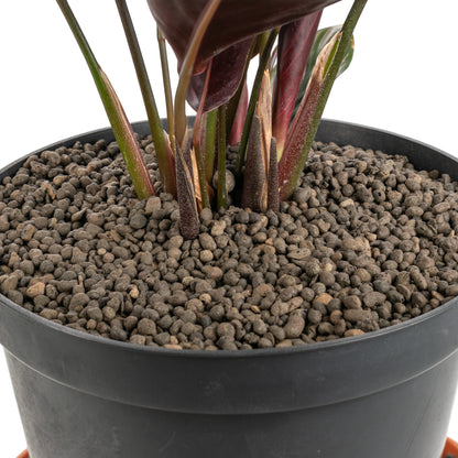 KERAMZYT Fine Expanded Clay Aggregate 1-4mm Grade