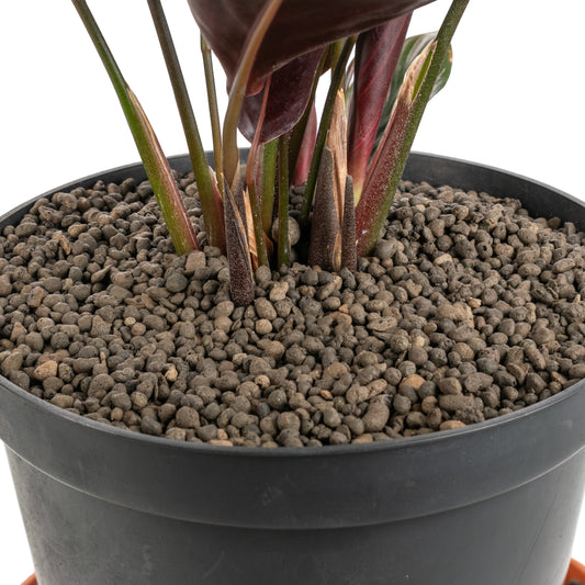 KERAMZYT Fine Expanded Clay Aggregate 1-4mm Grade