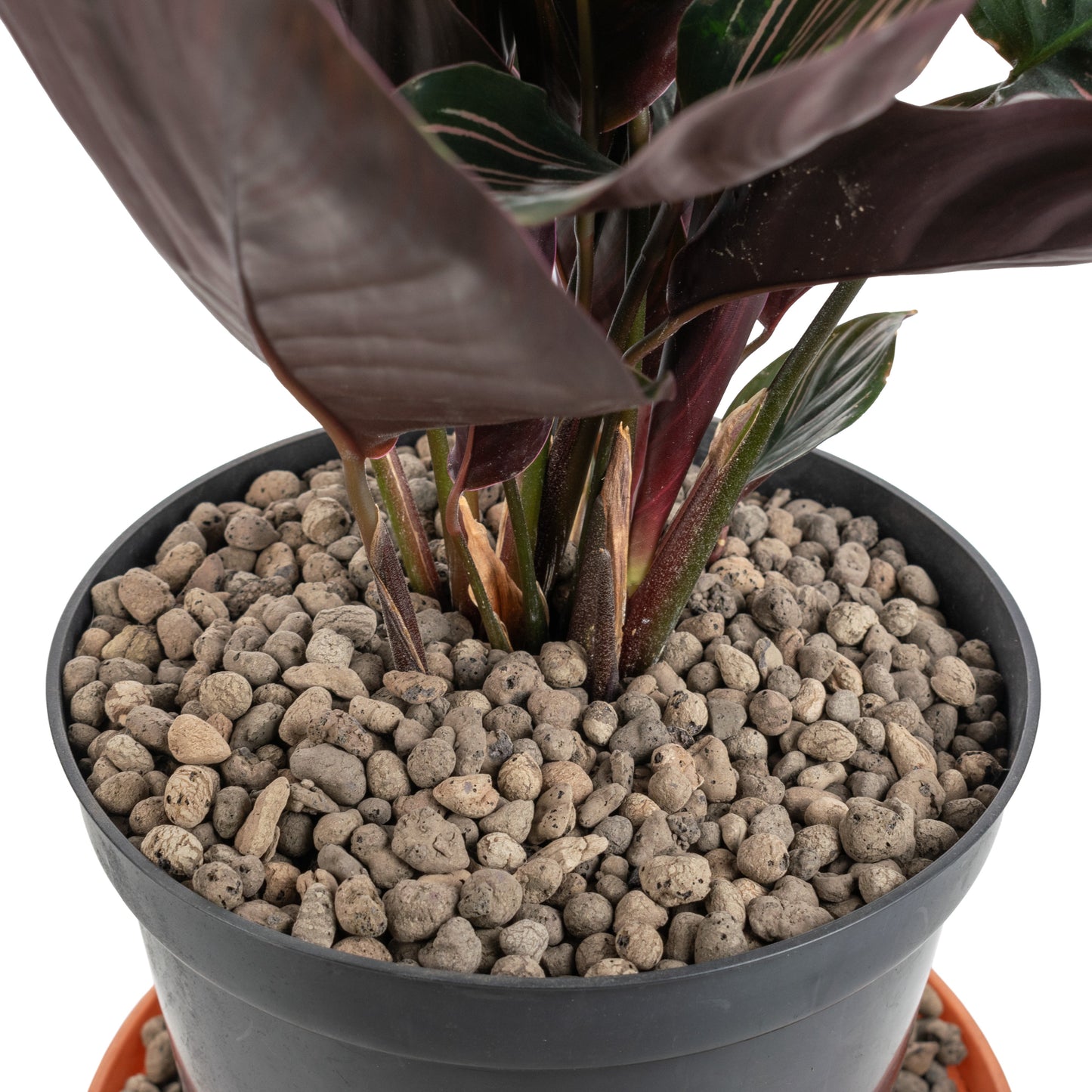 KERAMZYT Fine Expanded Clay Aggregate 4-8mm Grade