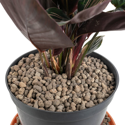 KERAMZYT Fine Expanded Clay Aggregate 4-8mm Grade