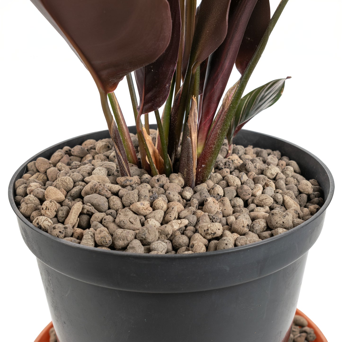 KERAMZYT Fine Expanded Clay Aggregate 4-8mm Grade