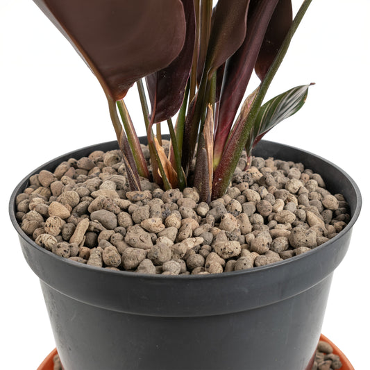KERAMZYT Fine Expanded Clay Aggregate 4-8mm Grade