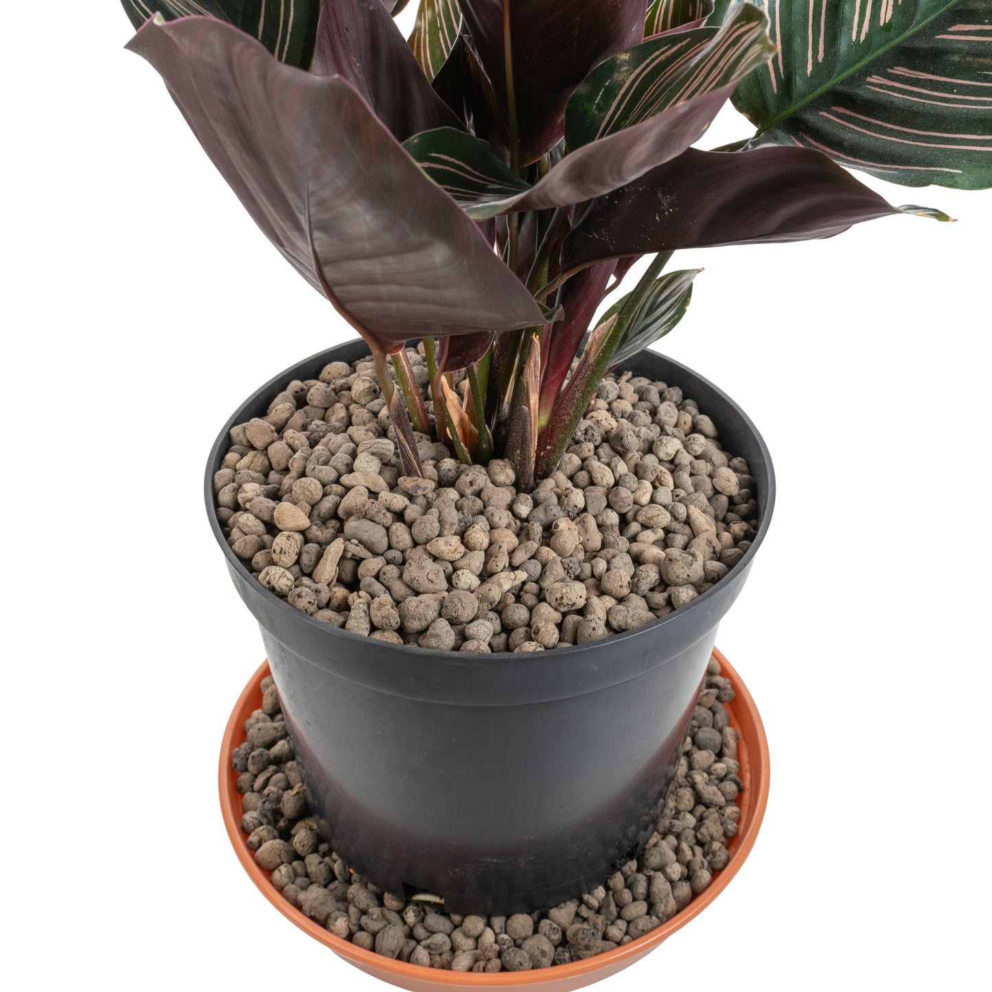 KERAMZYT Fine Expanded Clay Aggregate 4-8mm Grade