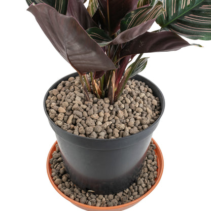 KERAMZYT Fine Expanded Clay Aggregate 4-8mm Grade