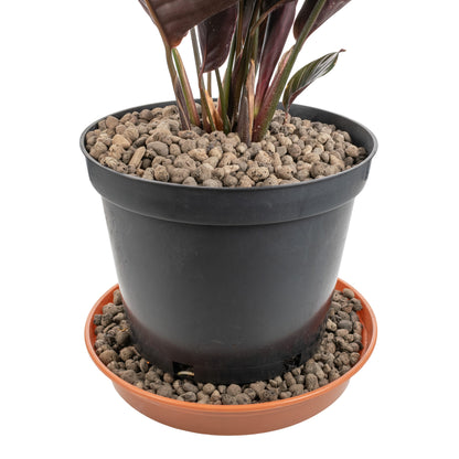 KERAMZYT Fine Expanded Clay Aggregate 4-8mm Grade