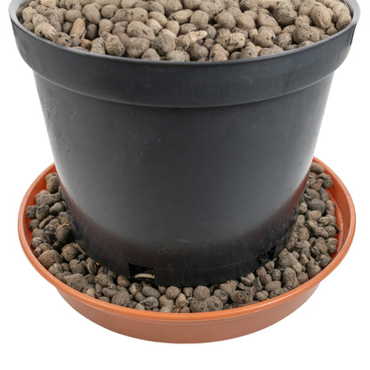 KERAMZYT Fine Expanded Clay Aggregate 4-8mm Grade