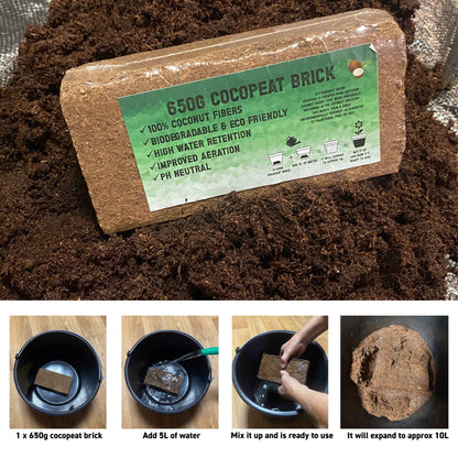 Organic Coconut Coir – Natural Fibre Compost