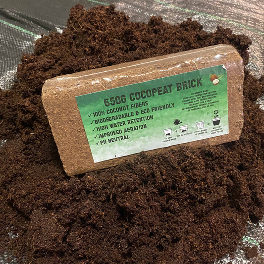 Organic Coconut Coir – Natural Fibre Compost