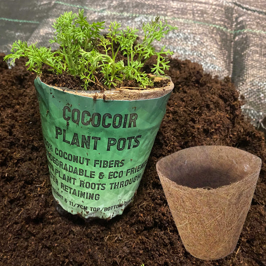 Eco-Friendly Coconut Fibre Plant Pot