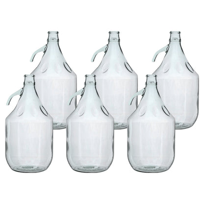 Set of 6 Plain 5L Glass Demijohns