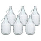 Set of 6 Plain 5L Glass Demijohns