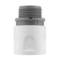 WL Female Garden Hose Fitting with 3/4” BSP Male Thread