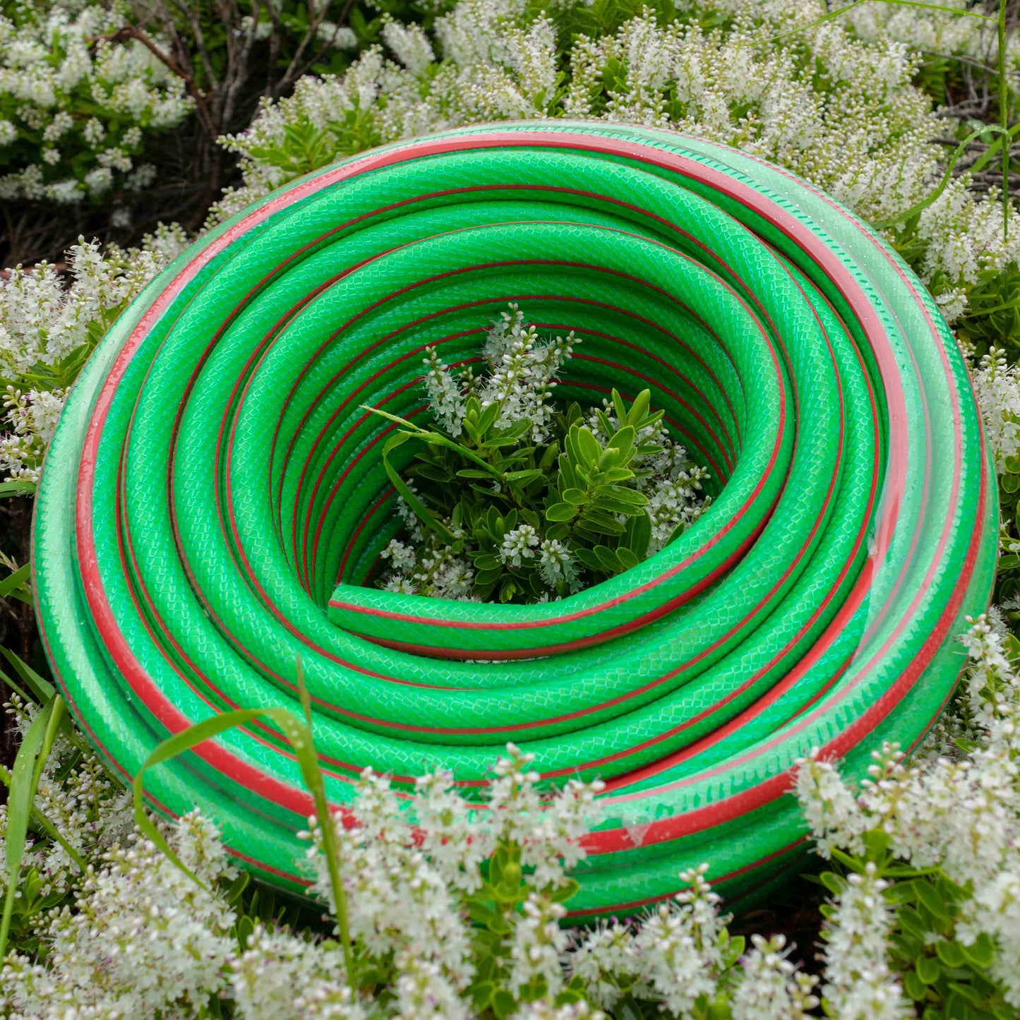 Premium Quality 1/2″ Green 6‑Layer Watering Hose