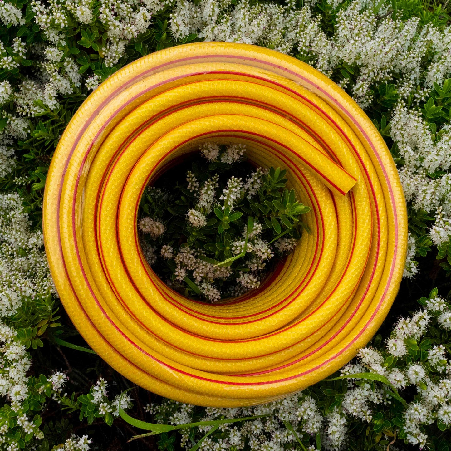 High-Quality 6-Layer ½ Inch Yellow Garden Hose Pipe