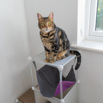 Medium-Sized Kitty Cubby Play Tower