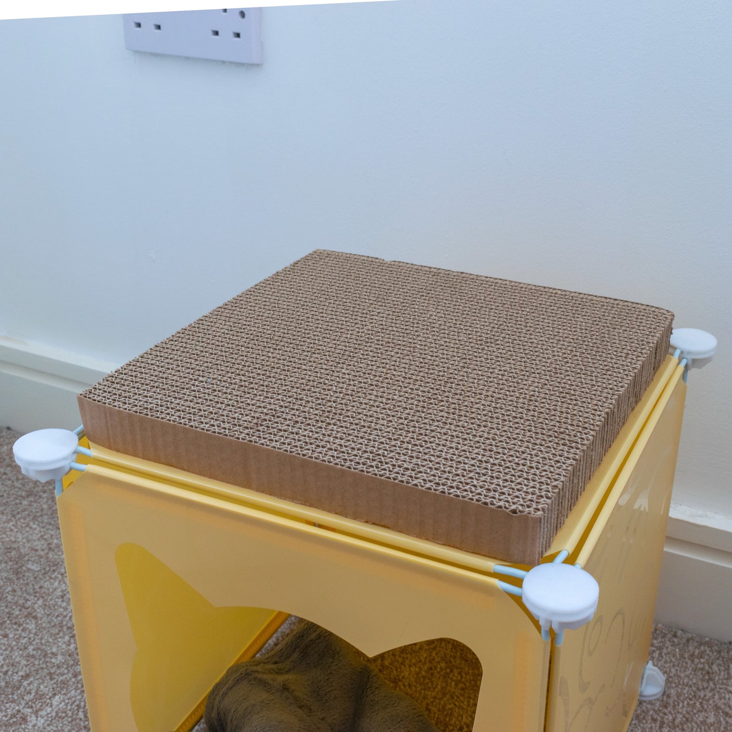Small-Sized Kitty Cubby Play House