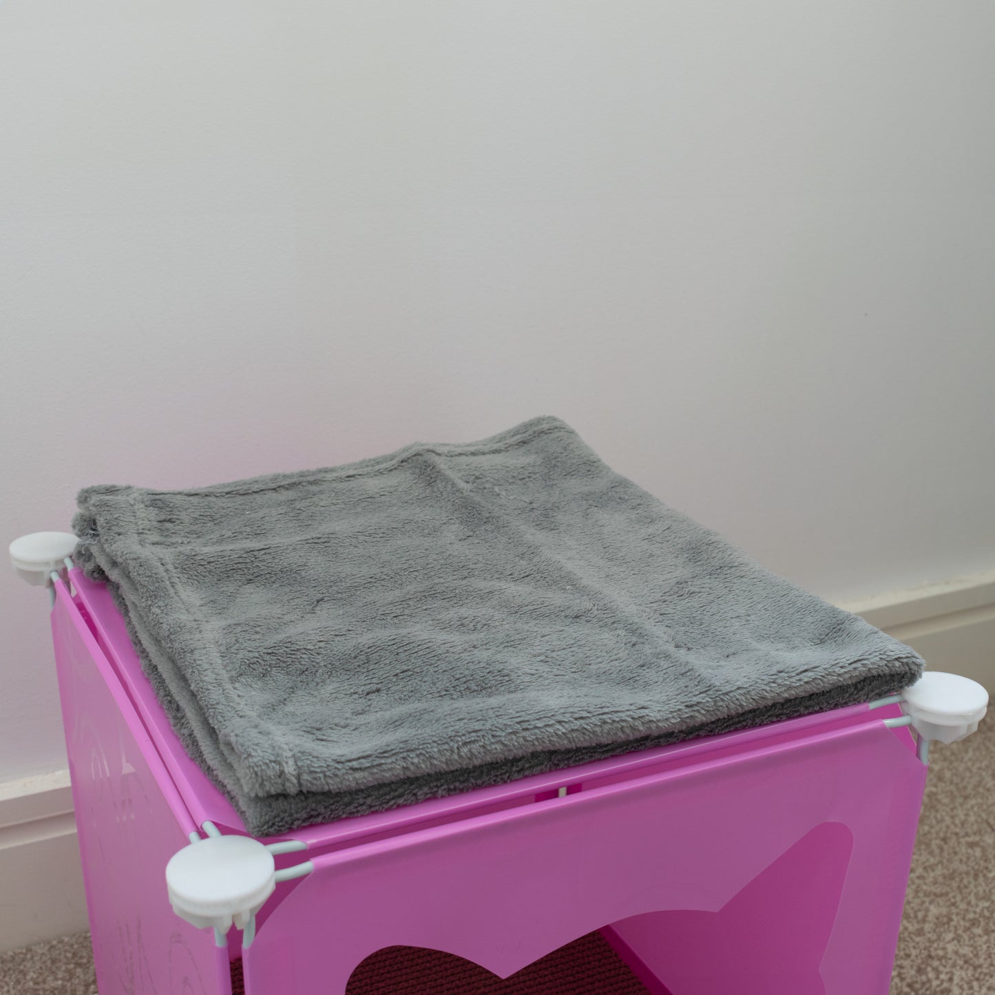 Small-Sized Kitty Cubby Play House