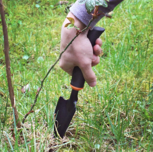 Narrow De Luxe Garden Spade